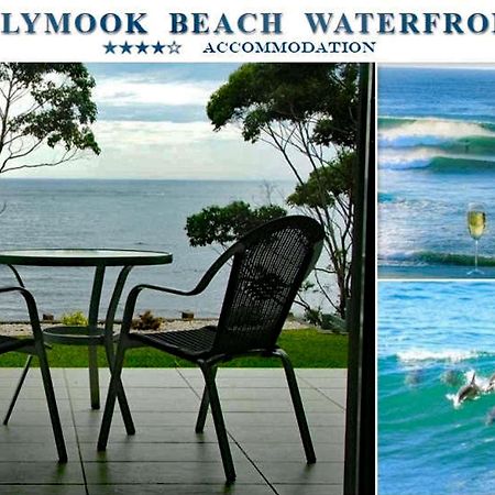 Mollymook Beach Waterfront Eksteriør billede